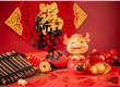 中亚至宝祝大家春节快乐！